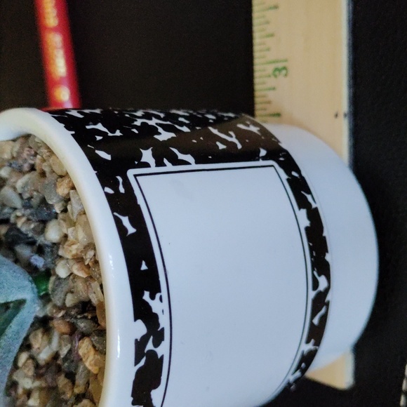 Planter for teacher with faux succulent - Picture 9 of 10